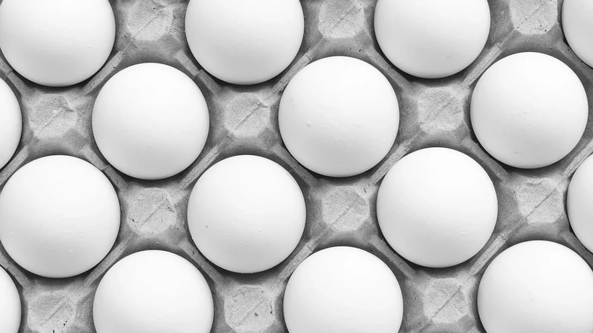 eggs, food, egg tray, pattern, white eggs, chicken eggs, organic, healthy, closeup, eggs, eggs, eggs, eggs, eggs, egg tr