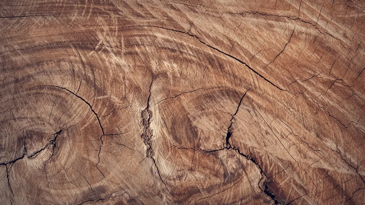 wood, wallpaper 4k, brown, wooden, close up, mac wallpaper, desktop backgrounds, 4k wallpaper, wallpaper hd, surface, hd