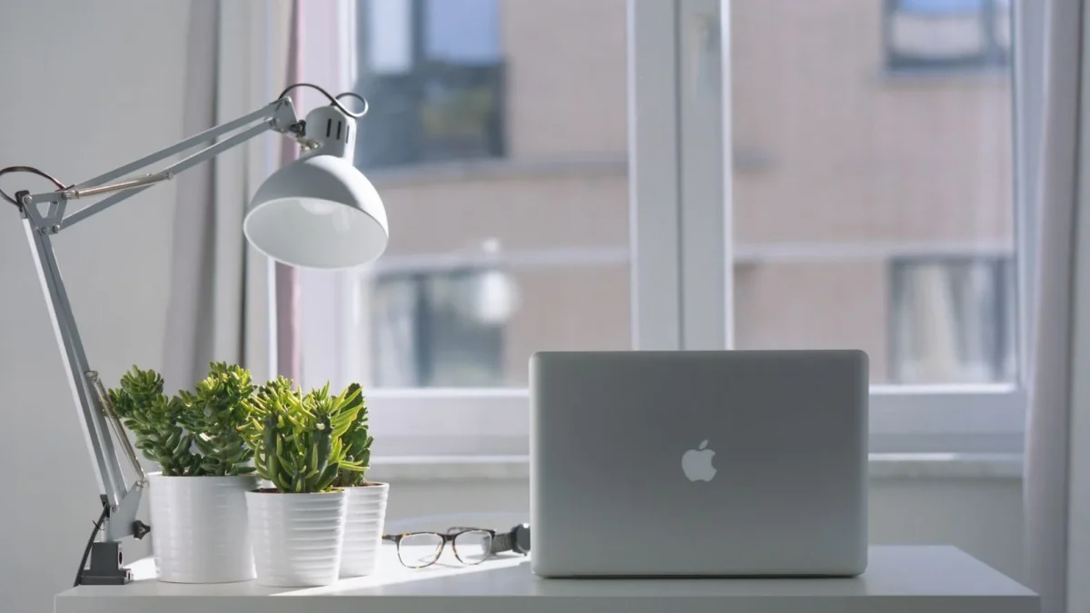Bright modern workspace with laptop, potted plants, and desk lamp near a window.