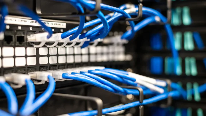 Blue plastic wires with white tips connected to server and provide access to information