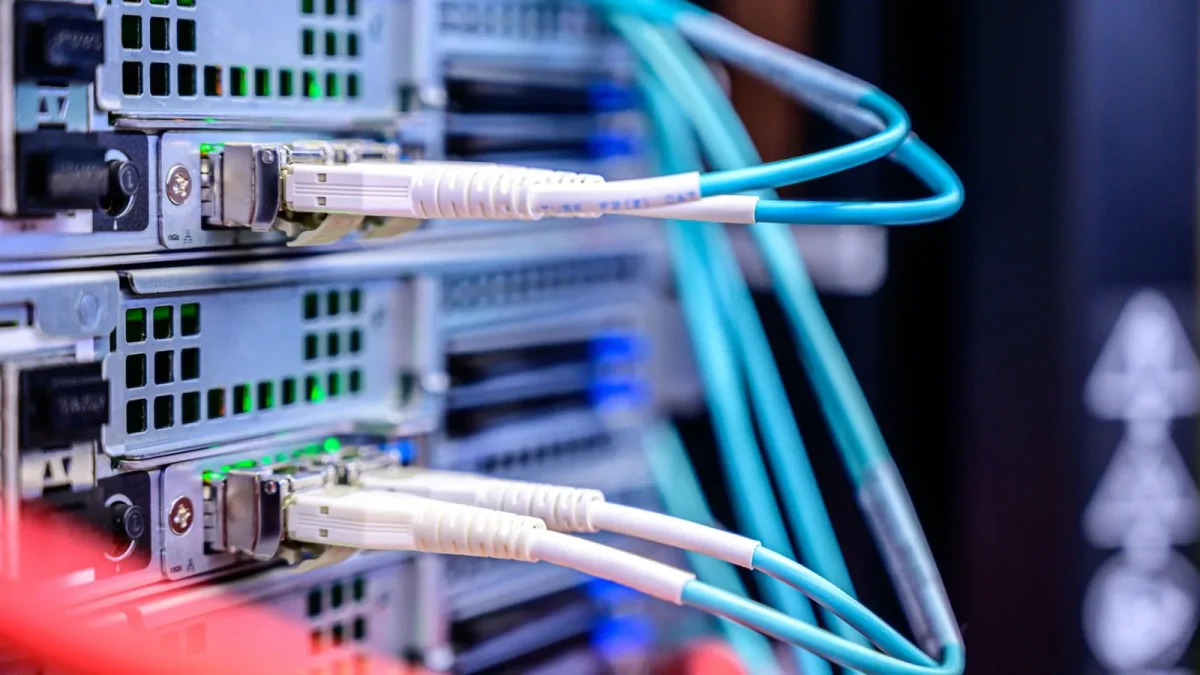 Detailed shot of Ethernet cables connected to server ports highlighting technology infrastructure.