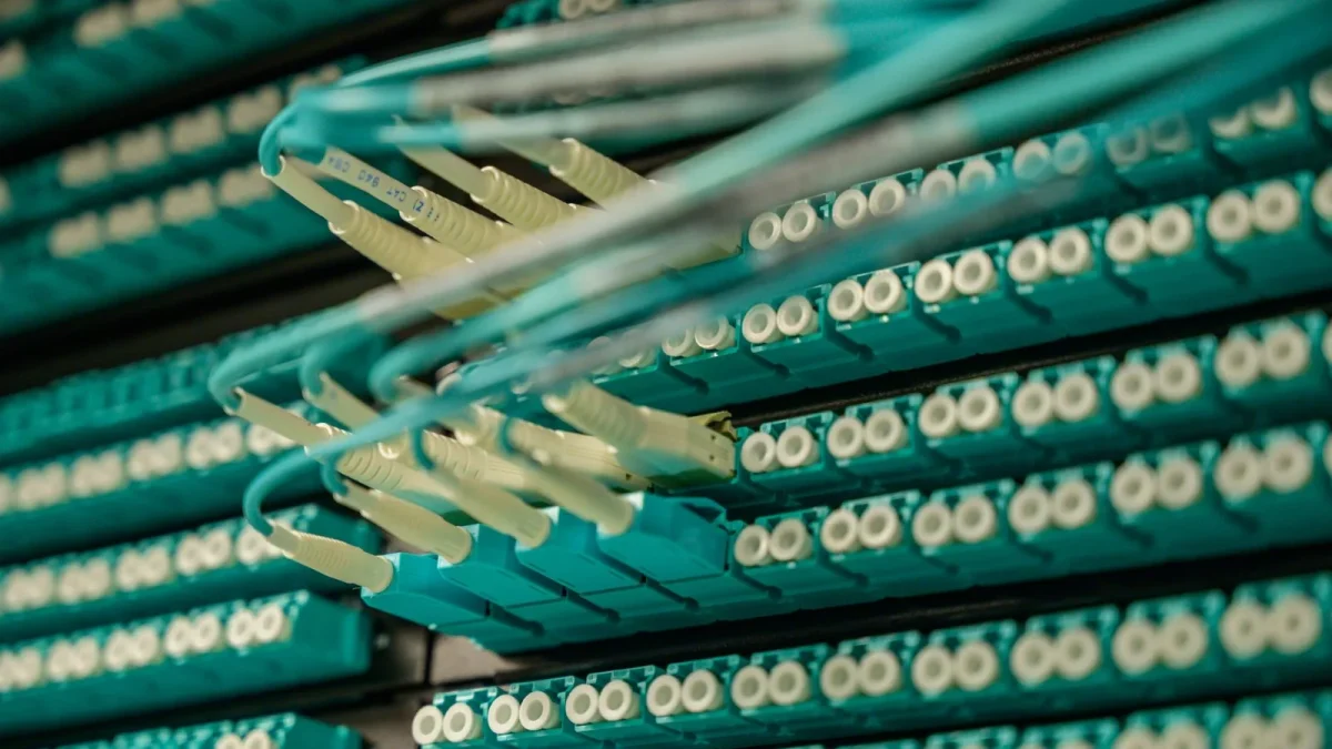 Detailed view of fiber optic cables connected to a server rack, showcasing modern technology.
