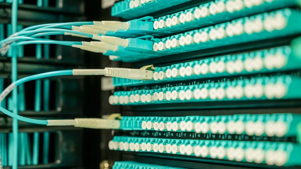 Networking cables plugged into a patch panel, showcasing data center connectivity.