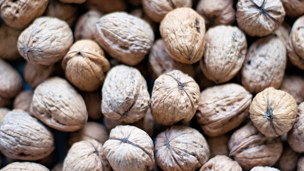 nuts, walnuts, shell, hard, brown, fruit, food